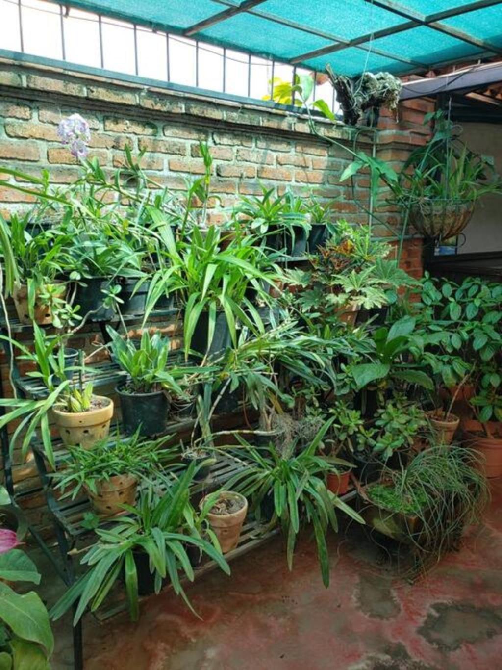 Enjoy Ac In The Penthouse At Inn Ajijic Εξωτερικό φωτογραφία