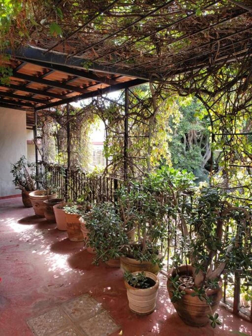 Enjoy Ac In The Penthouse At Inn Ajijic Εξωτερικό φωτογραφία